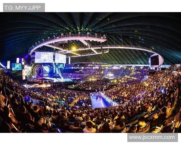 深圳排球队总决赛之路：从默默无闻到荣耀巅峰的奋斗历程