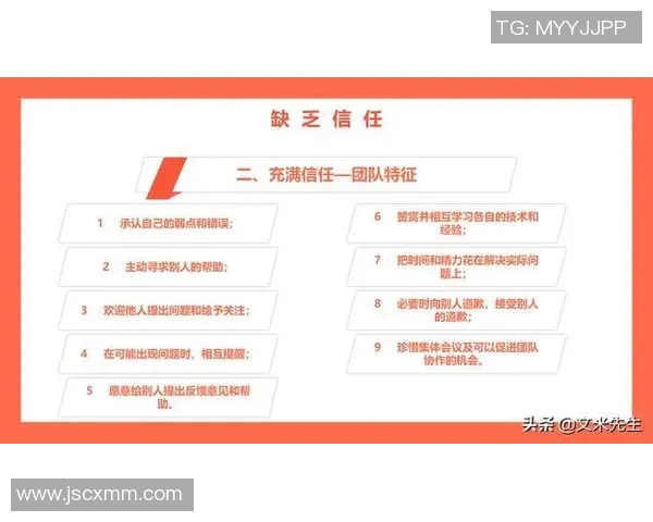 西安排球队的节奏探秘：如何打造高效排球战术与团队协作